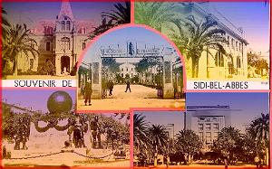 SIDI BEL ABBES 536  SOUVENIR